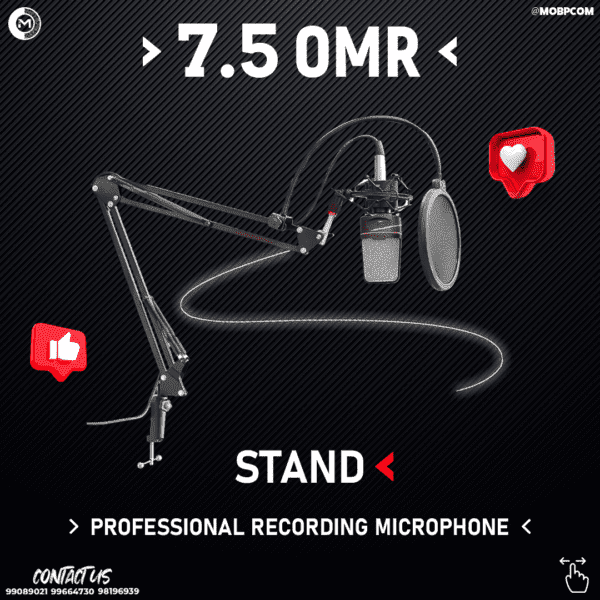 Stand Professional Recording Microphone