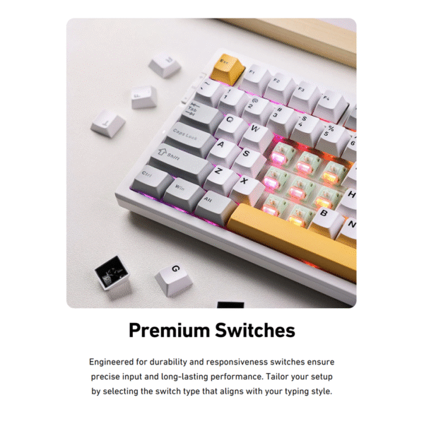 MCHOSE G75 Pro – Tri-Mode Gasket Structure Mechanical Gaming Keyboard - Image 7