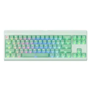 HAVIT KB896L RGB Mechanical Gaming Keyboard – VKS Team Co-branded Model (Green)