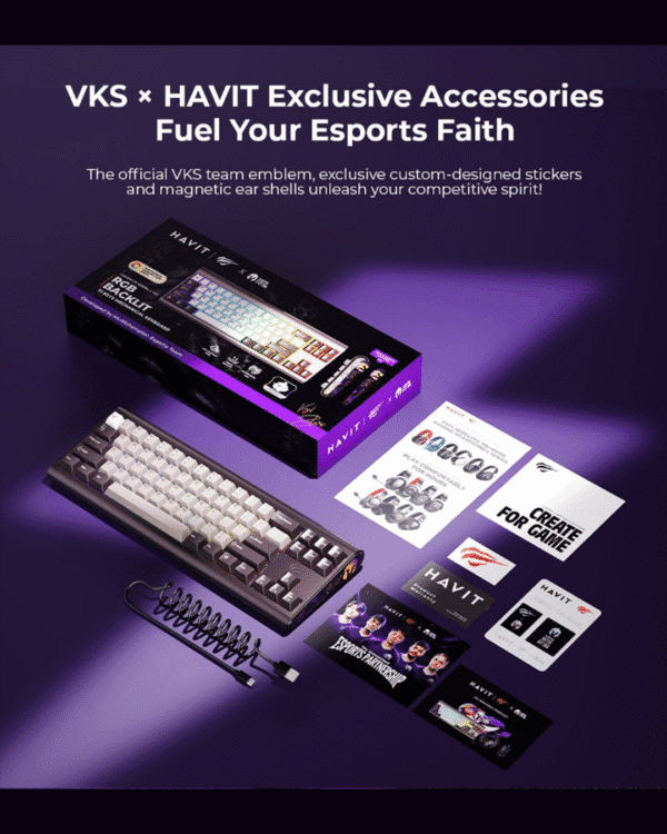 HAVIT KB896L RGB Mechanical Gaming Keyboard – VKS Team Co-branded Model (Green) - Image 11